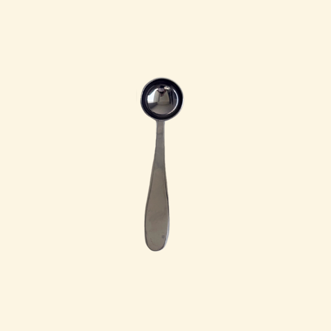 Stainless Steel Scoop