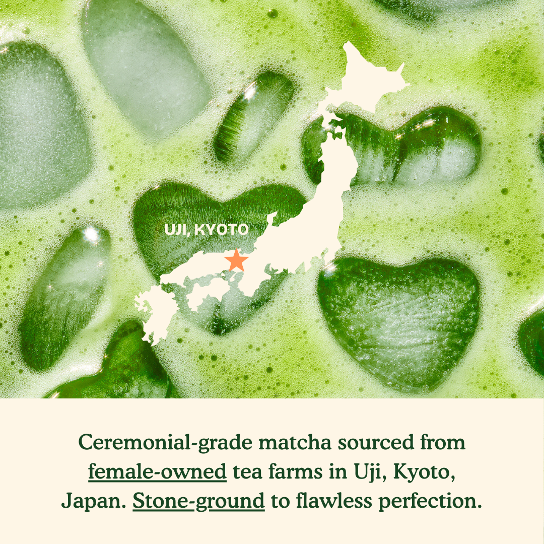 Matcha + Protein 3-Piece Set