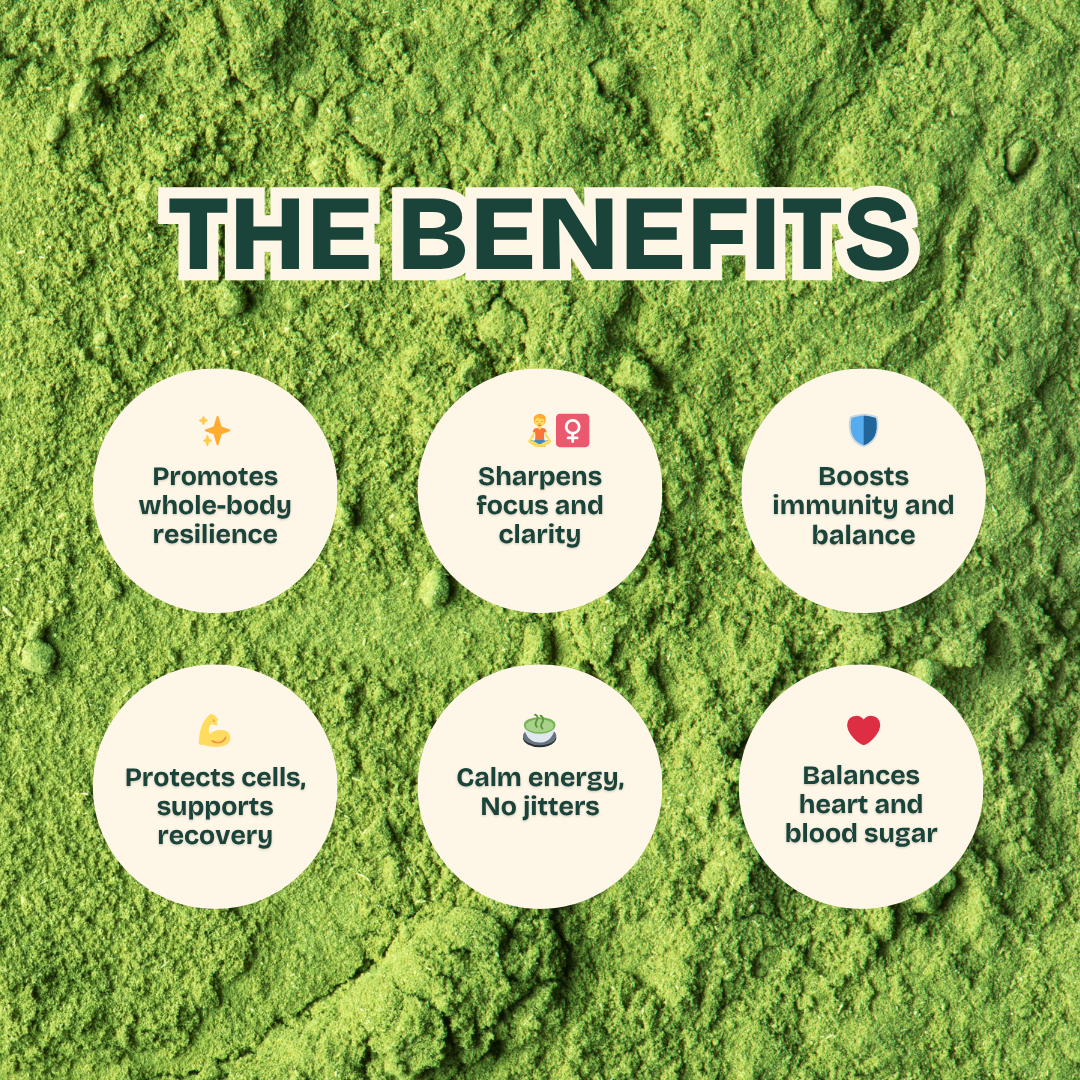 Matcha + Vitamin D (40g)