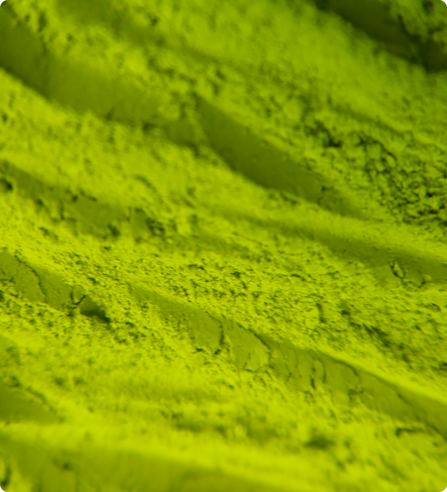 Matcha + Collagen (40g)