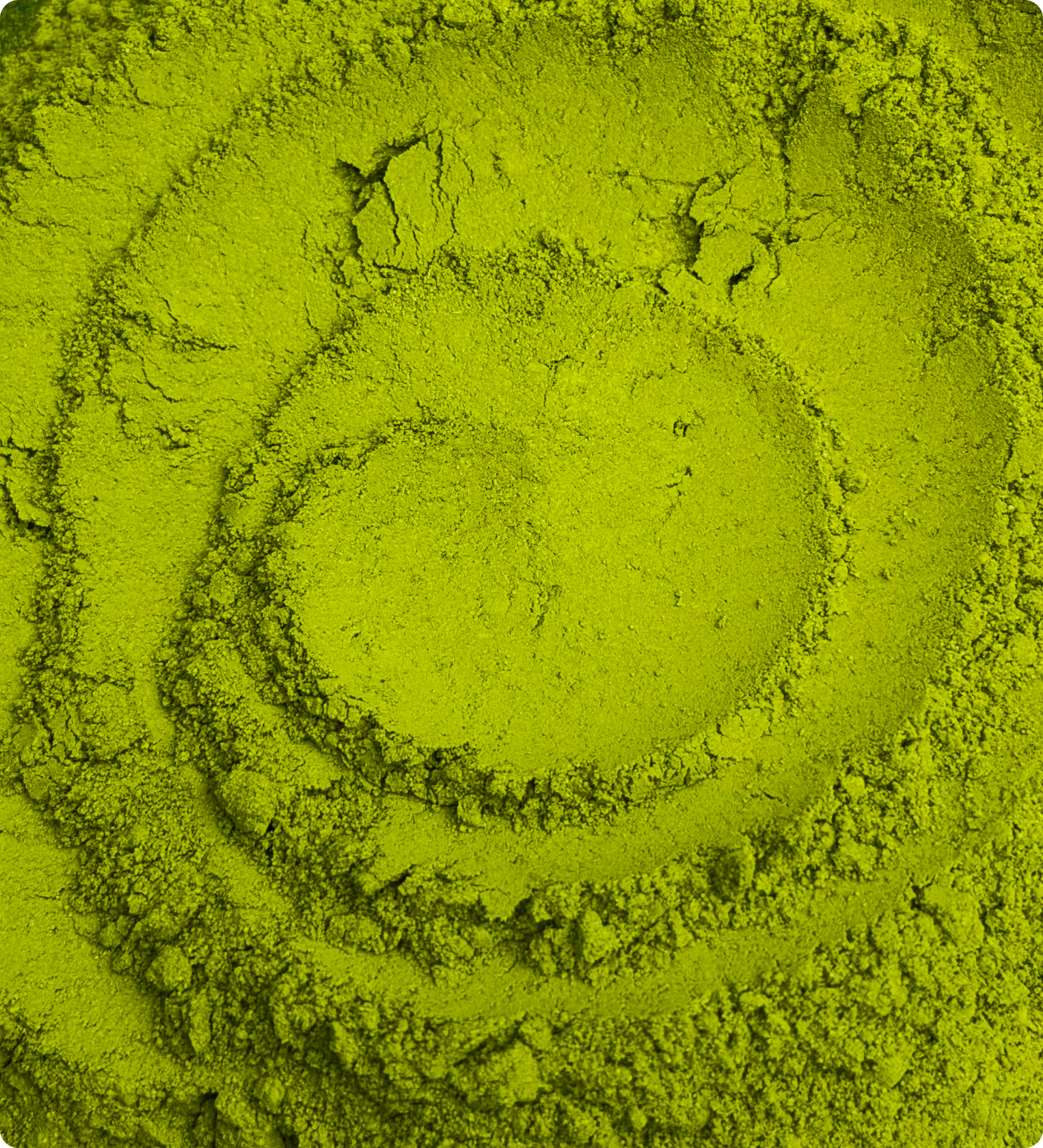 Matcha + Protein (40g)