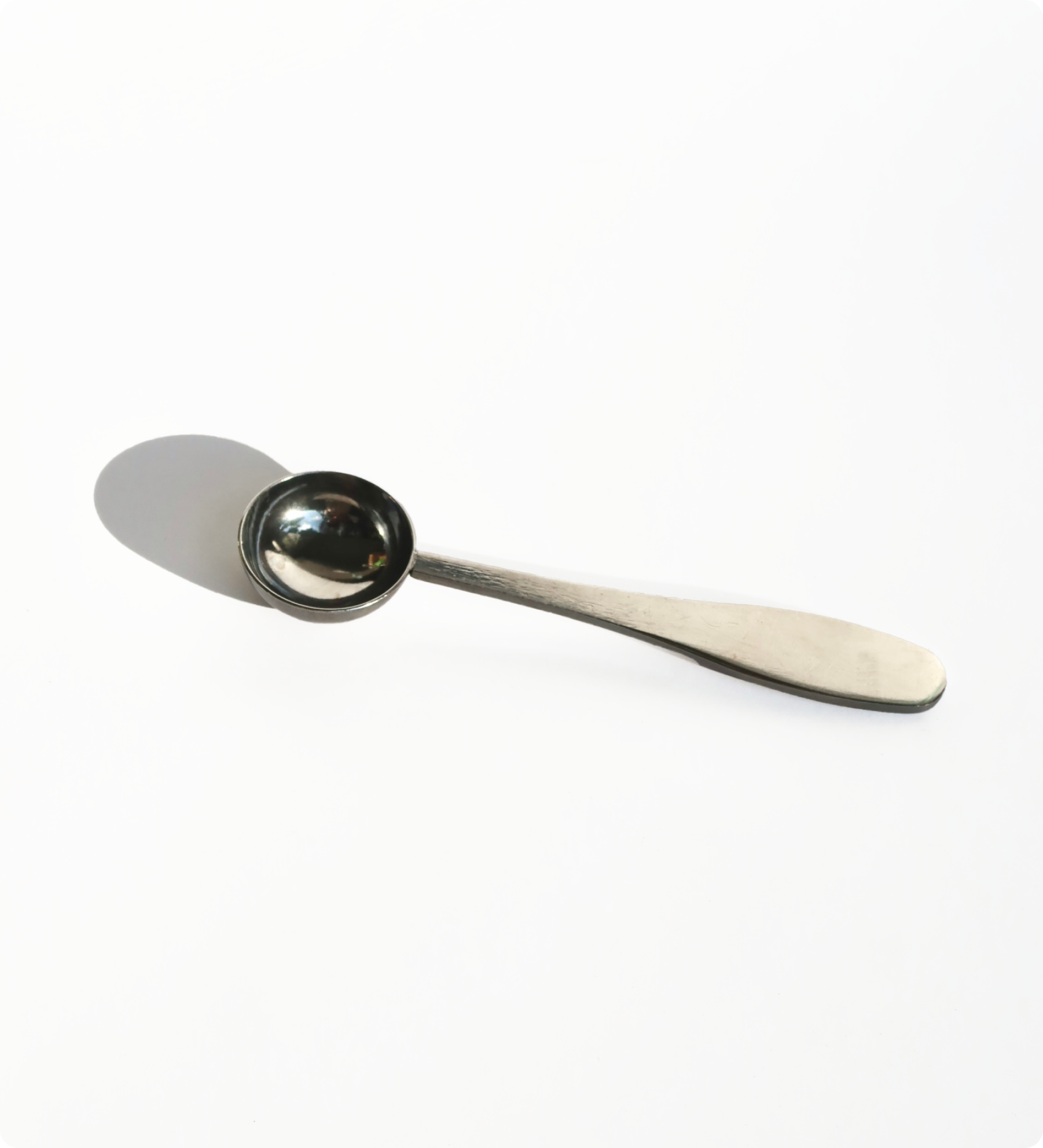 Stainless Steel Scoop