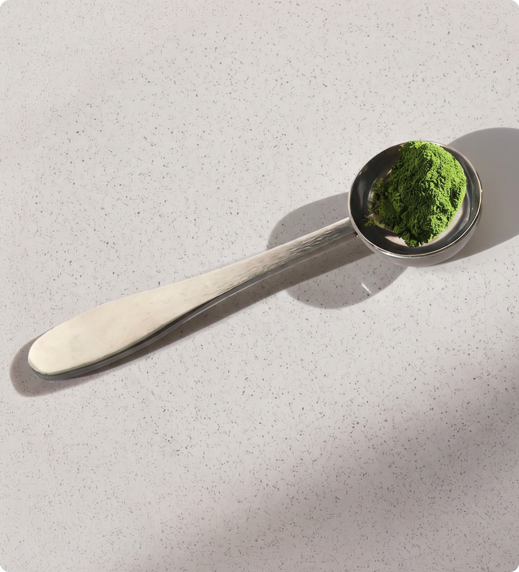 Stainless Steel Scoop